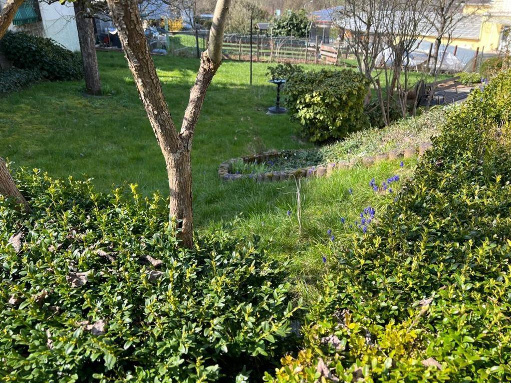 Ferien- Und Monteurwohnung Zum Waldblick Extérieur photo