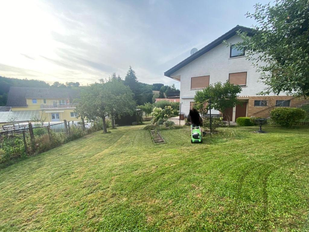 Ferien- Und Monteurwohnung Zum Waldblick Extérieur photo
